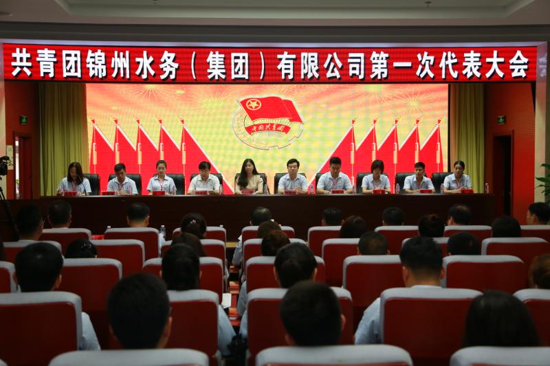 共青团水务集团第一次代表大会胜利闭幕