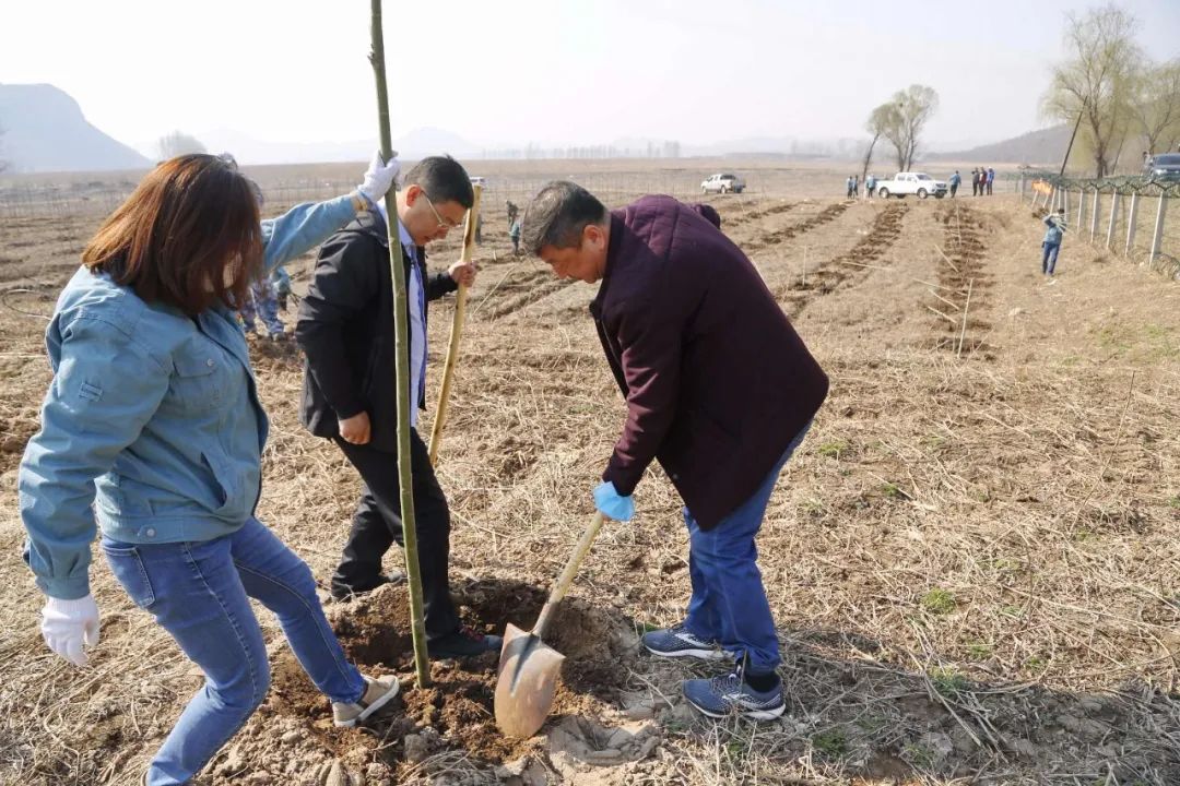 丹心向党 植树添绿 同心协力护水源